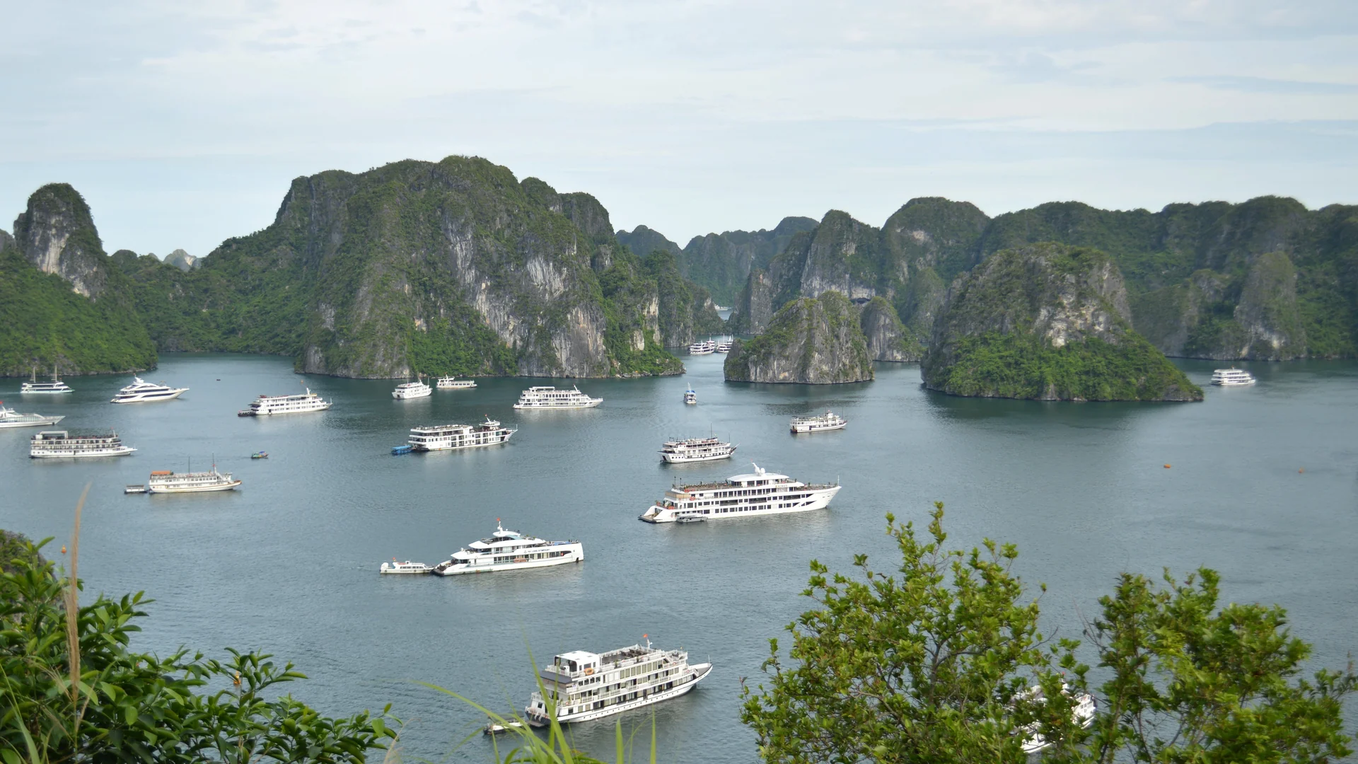 Best Time to Visit Vietnam by Region: North vs Central vs South